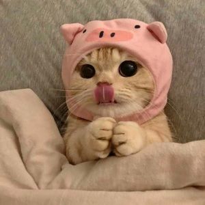 Meet your Posher, Austin